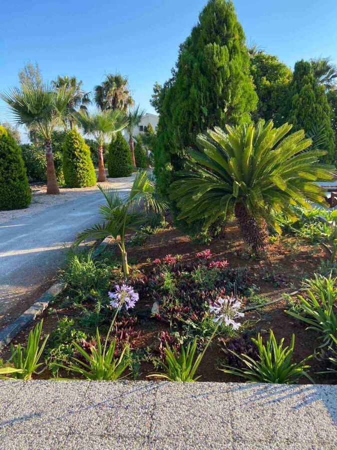 Cocoon Luxury Villa In Coral Bay-3 Min To Beach Peyia Exterior photo
